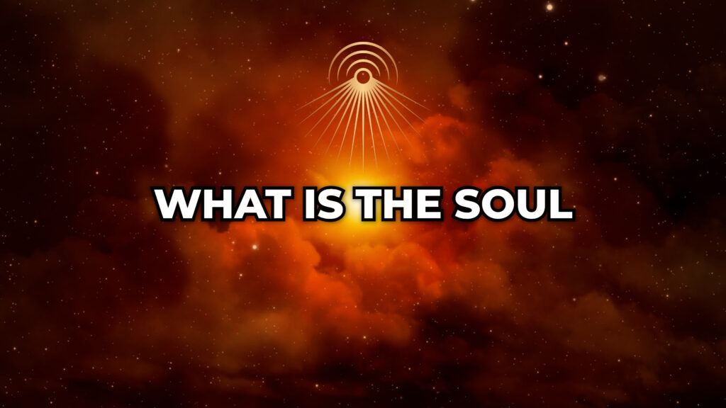 What is the Soul in the Neogenian System?