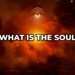 What is the Soul in the Neogenian System?